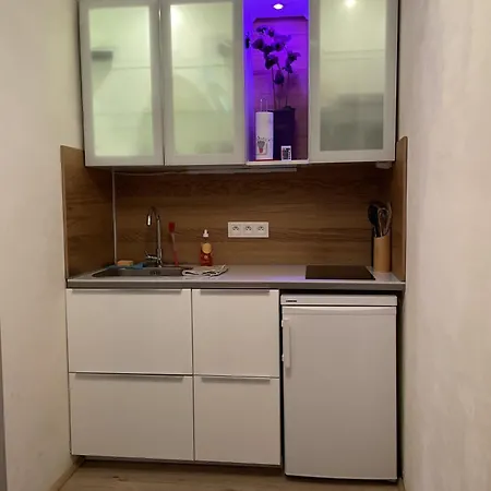 Apartament Au Centre Historique De Strasburg