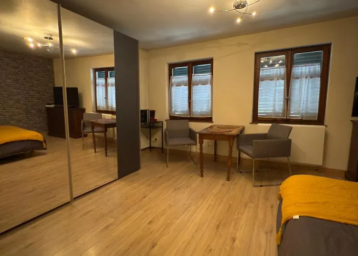 Au Centre Historique De ستراسبورغ