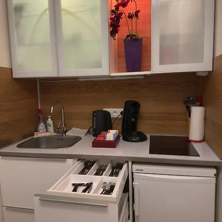 Au Centre Historique De Apartman Strasbourg